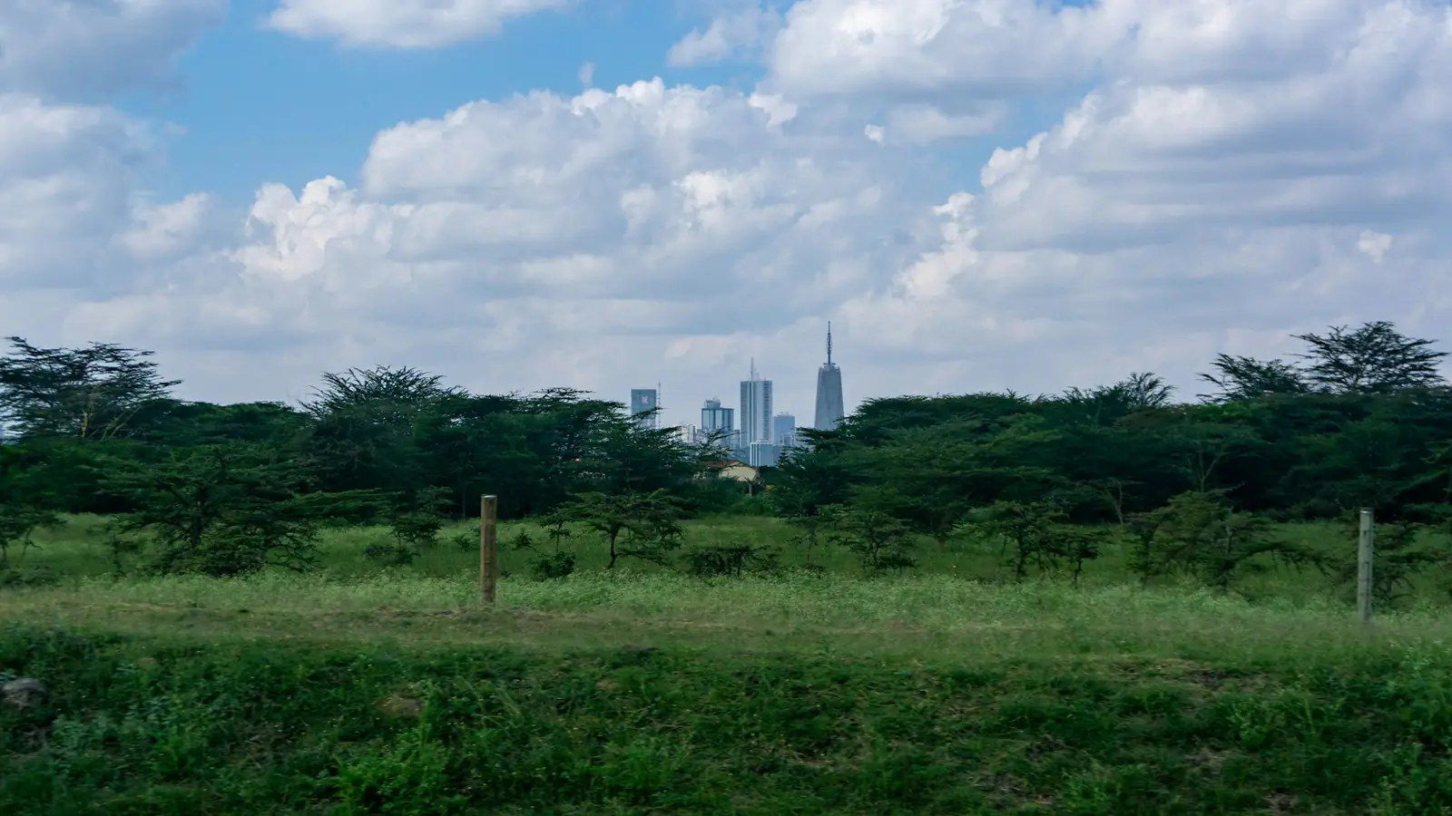 Nairobi skyline — A grassy field with a city in the background