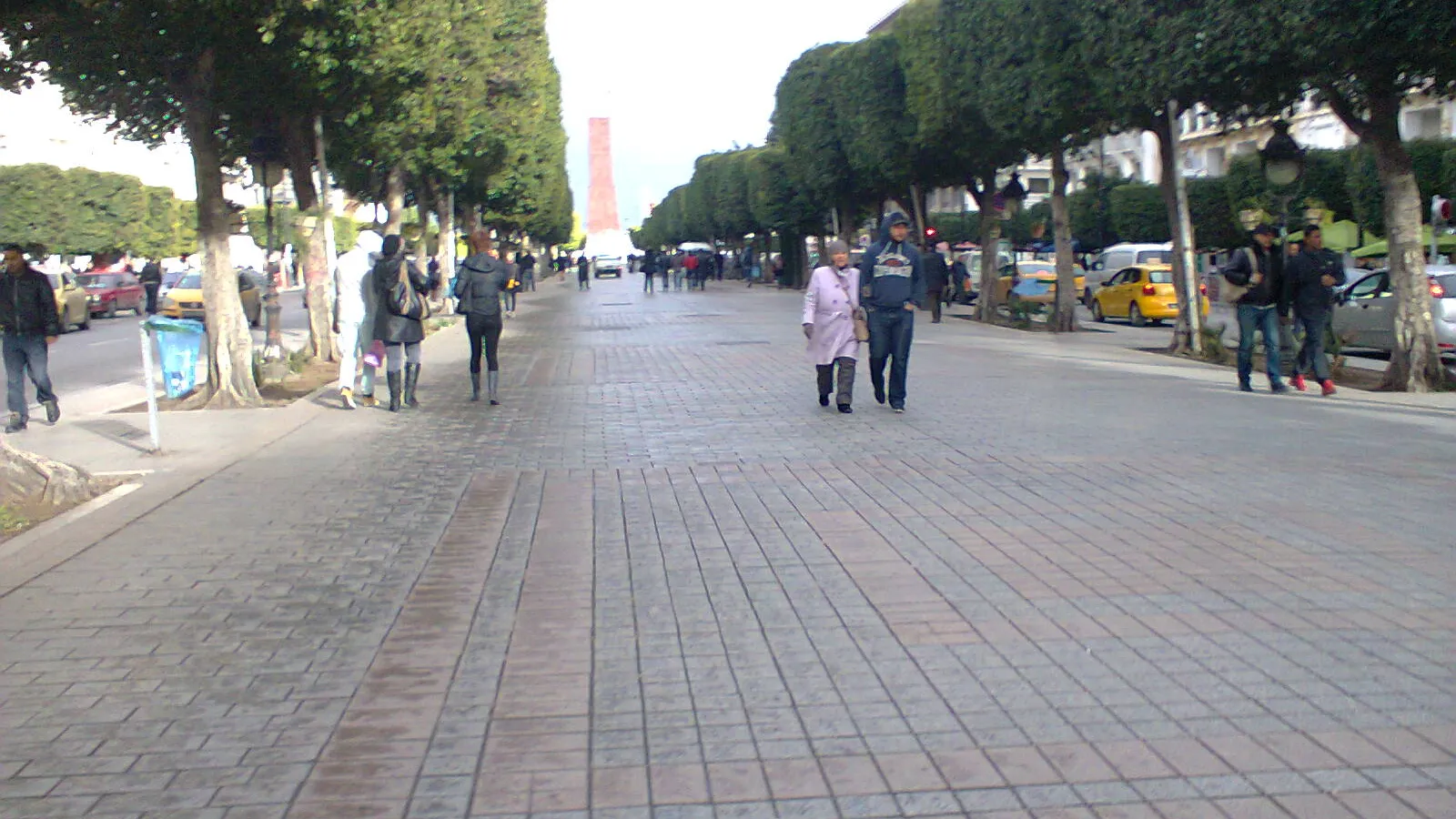 Pedestrians on the tree-lined central promenade of Avenue Habib Bourguiba in Tunis